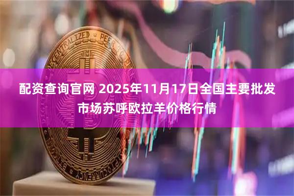 配资查询官网 2025年11月17日全国主要批发市场苏呼欧拉羊价格行情