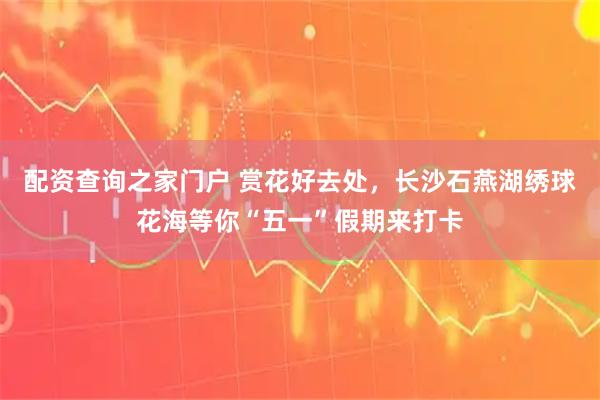 配资查询之家门户 赏花好去处，长沙石燕湖绣球花海等你“五一”假期来打卡