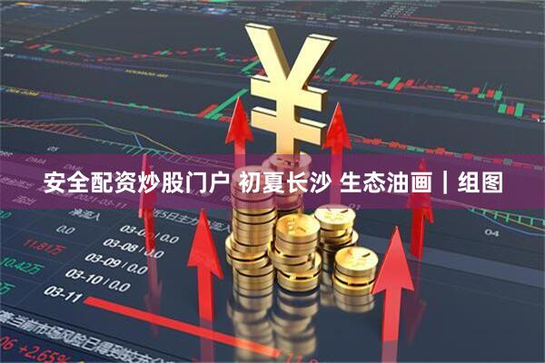 安全配资炒股门户 初夏长沙 生态油画｜组图