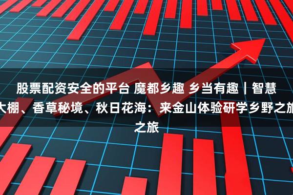 股票配资安全的平台 魔都乡趣 乡当有趣|智慧大棚、香草秘境、秋日花海:来金山体验研学乡野之旅